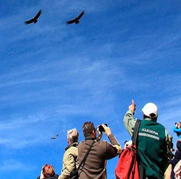 Tour 1 dia – Arequipa – Chival Colca Cruz del Condor