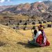 paquetes turisticos cusco tours